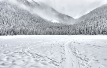 Snow